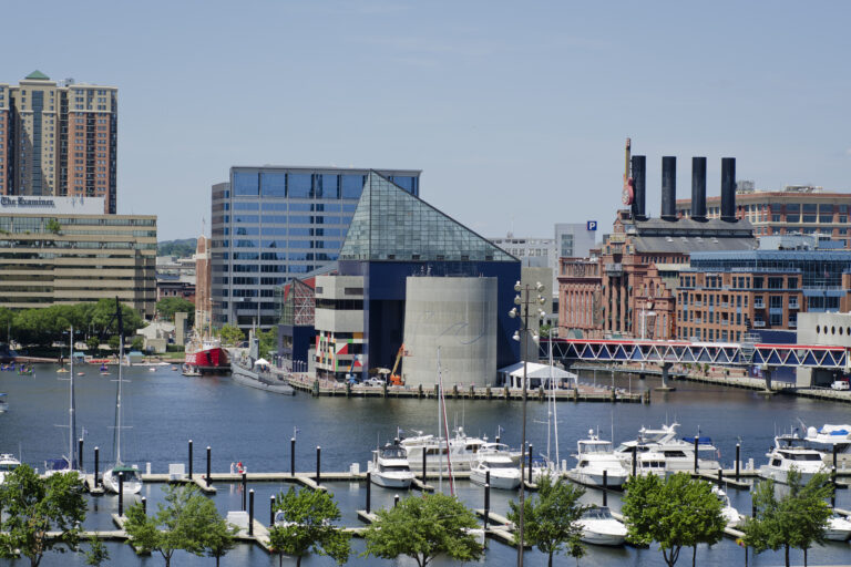Join Us at WordCamp US 2023 in National Harbor, Maryland