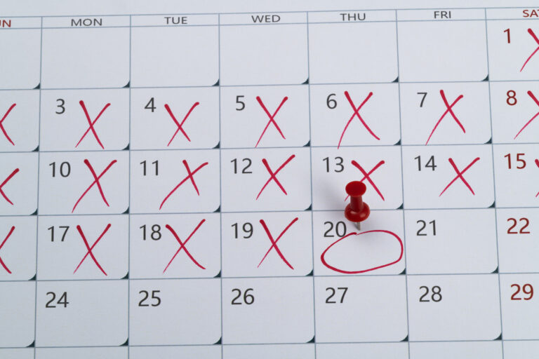 Block All Past Dates on WordPress Booking Form